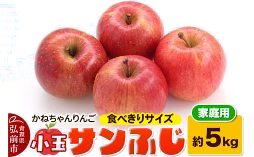 【りんご】かねちゃんりんご 家庭用 小玉 サンふじ約5kg 食べきりサイズ