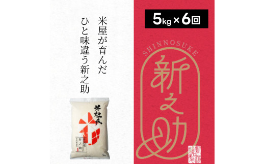 【令和7年産】【6ヶ月定期便】 特別栽培米 新之助 5kg (5kg×1袋)×6回 米杜氏 壱成 白米 精米 大粒 つや 光沢 弾力 芳醇 新潟県 米 こめ コメ 1H48109