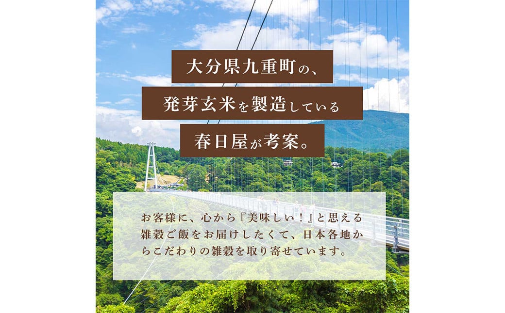 国産 7種の雑穀発芽玄米ごはん 炊飯セット2合×15袋（約60食分）洗わずにそのまま炊ける雑穀発芽玄米ごはん