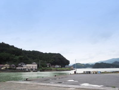 [031003]創業90年！大原かまぼこ店の詰め合わせA