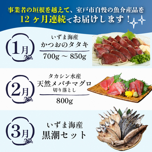 【定期便 12回】室戸まるごと定期便 海鮮コース かつお 本マグロ 伊勢海老 ネギトロ zzb2025