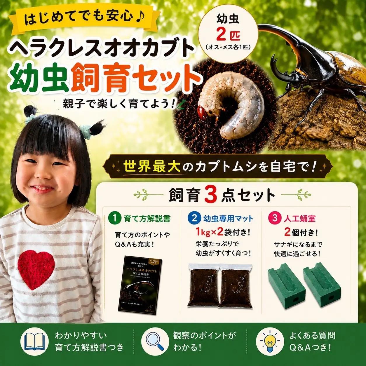 【虹色Farm】ヘラクレスオオカブト 幼虫2匹(ペア)飼育キット3点付(育て方解説書・菌床マット・人工蛹室)｜京都 ヘラクレス 人気