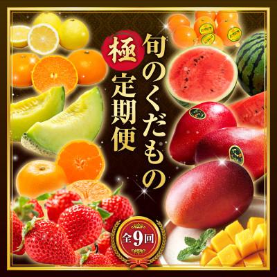 ふるさと納税 宮崎市 【発送月固定定期便】旬のくだもの【極】定期便全9回