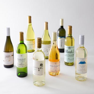 ふるさと納税 韮崎市 白ワイン好き必見!白ワイン9本 飲み比べセット　750ml×8本　720ml×1本