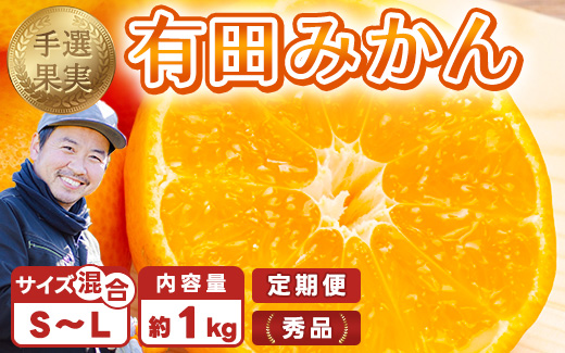 【まごころ手選別】【3ヶ月定期便】有田みかん 秀品 約1kg（S～Lサイズ混合）※2025年11月上旬頃から1カ月に1回（計3回）発送