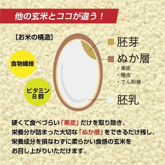 南魚沼産 コシヒカリ 普通に炊ける 玄米 2kg×2袋 計4kg こしひかり 新潟県 米 玄米食 コメ こめ｜主食