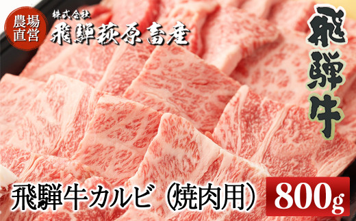 
飛騨牛カルビ焼肉用（800g）最高級 国産 牛肉 ブランド牛 和牛 大容量 焼き肉用 おすすめ 贈答 ギフト 【冷凍】
