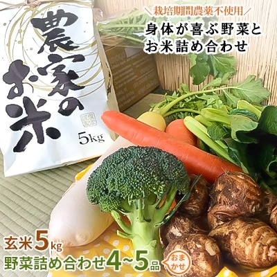 新米【玄米5kg】栽培期間農薬不使用『身体が喜ぶ野菜とお米』詰め合わせ(おまかせ)潮来はぐくみのもり【配送不可地域：離島】