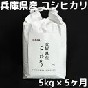 【ふるさと納税】兵庫県産コシヒカリ5kg　5ヶ月定期便(定期便で通常よりもお得になります)　【定期便・ コシヒカリ お米 】