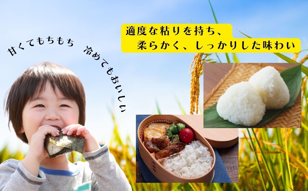 佐渡発酵　佐渡産コシヒカリ精米5kg 【令和7年米】