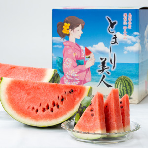スイカ 2L 7kg とまり 美人 西瓜 | 18M
