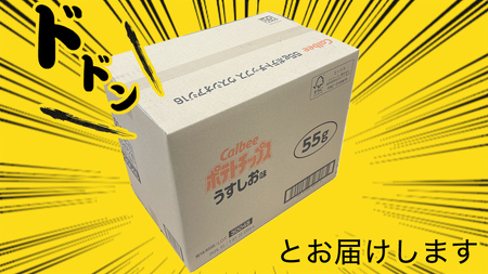カルビー ポテトチップス レギュラー サイズ 2種類 詰め合わせ 16袋（ うすしお ／ コンソメ ）