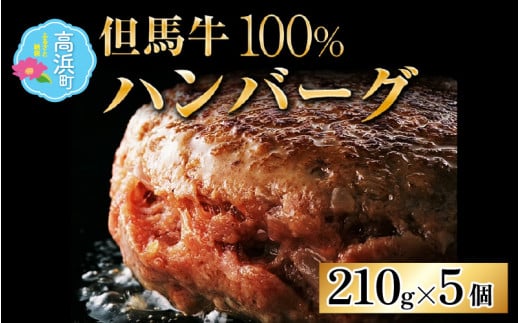 大切な人に食べてほしい但馬牛100％ ミート・マイチク ハンバーグ 5個セット　計1,050g