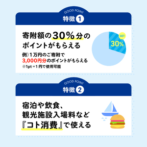 【 佐世保観光 トラベルポイント 】させぼe旅ポイント 30000円 トラベル