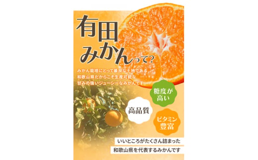 【2024年12月発送予約分】＼光センサー選別／ 【農家直送】【家庭用】こだわりの有田みかん 約5kg＋250g(傷み補償分) 先行予約 有機質肥料100% サイズ混合 【12月発送】※北海道・沖縄・