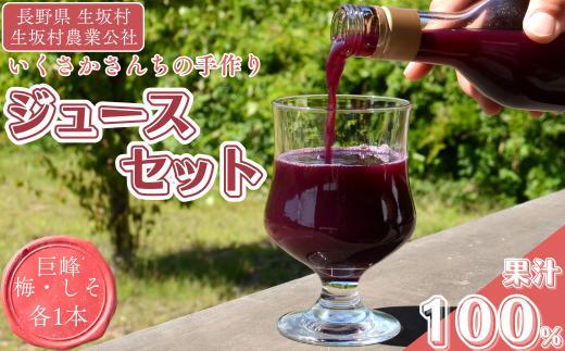 かあさん家 手作り ジュース 3種 セット （巨峰ジュース・梅ジュース・しそジュース 各720ml） 計3本 信州産 | 詰め合わせ 特産品 100% 果汁 飲料 | 長野県 生坂村 [生坂村農業公社]