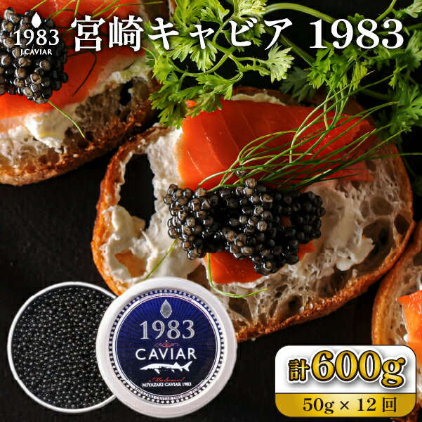 【ふるさと納税】＜定期便・全12回＞【国際線ファーストクラス採用】宮崎キャビア1983 50g×12回 キャビア 定期便 チョウザメの卵 チョウザメ 魚介 魚卵 おつまみ ふるさと 人気 おすすめ 贈答 ギフト お裾分け プレゼント 宮崎県 小林市 送料無料