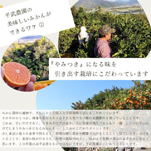 農家直送！有田みかん（9kg 3Lサイズ（超大玉）秀品）平武農園　～蛍飛ぶ町から旬の便り～