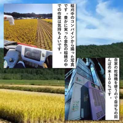 ふるさと納税 大館市 【令和7年産】秋田県産「あきたこまち」玄米5kg(5kg×1袋) |  | 01