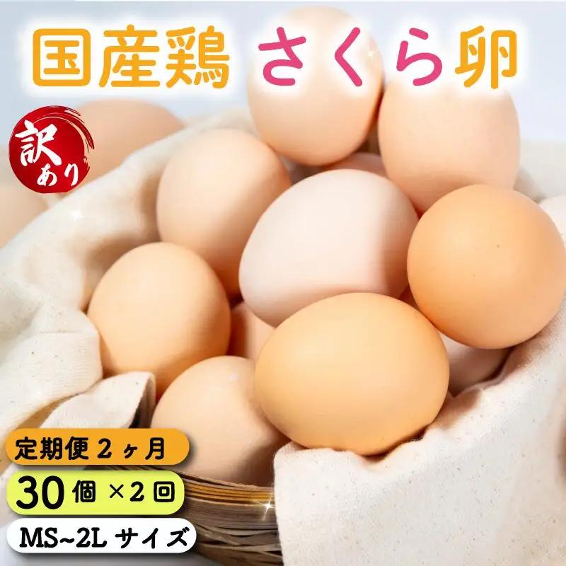 定期便 卵 30個 ( たまご 25個 + 割れ補償 5個 ) 2回 2ヶ月 定期便 国産 鶏 さくら 簡易包装 コクのある 濃い 風味 とれたて 生たまご 滋賀 地産地消 の 飼料米 玉子 産みたて 国産 新鮮 卵かけご飯 大容量 生 卵 鶏 天然 すき焼き 目玉 焼き 滋賀県 竜王町 玉子 鶏卵 生卵 産地直送                                                                                                  