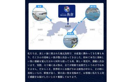 693.【早期受付】【ボイル】足1本なし　訳あり　松葉ガニ　大1枚（800g前後）《かに カニ 蟹 ズワイガニ 》※着日指定不可※2025年11月上旬頃から順次発送予定