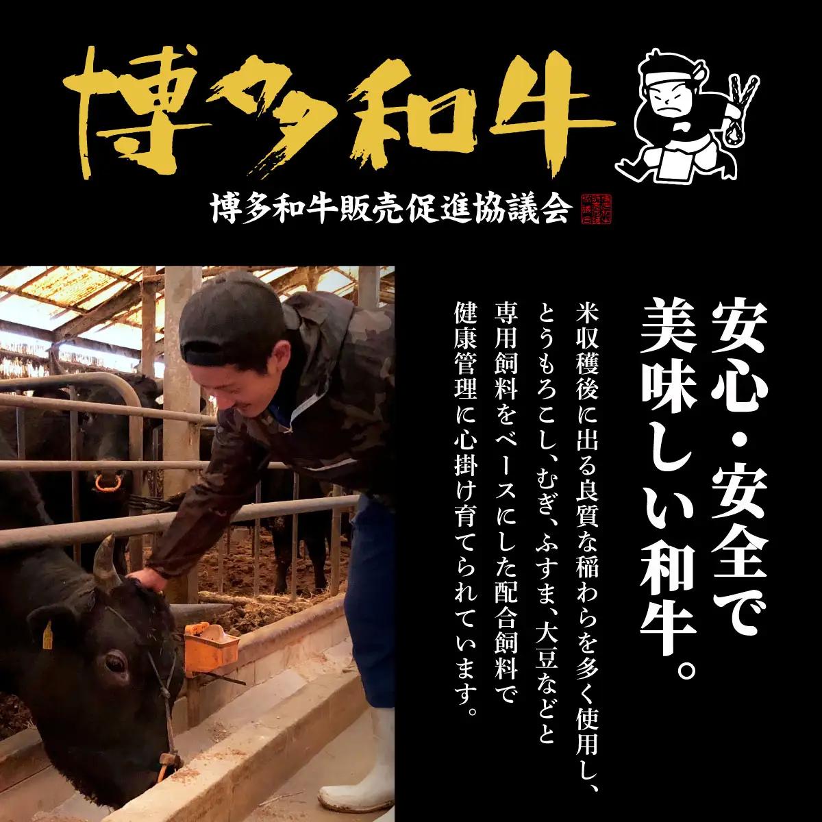 【博多和牛】サーロイン ステーキ 200g×2枚【HD021】