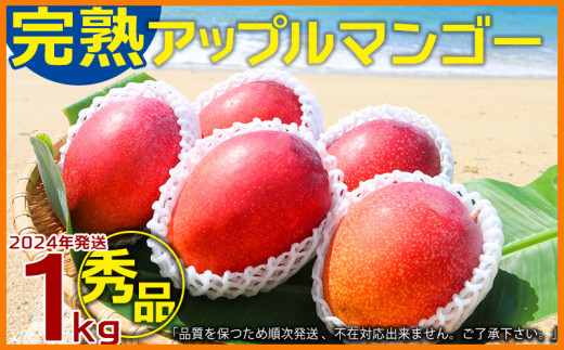 農園一番人気の完熟アップルマンゴー 秀品・約1kg
