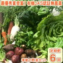 【ふるさと納税】【最優秀賞受賞！甘味＆栄養】有機JAS認証の無農薬、チヨちゃんの野菜6ヶ月定期[956]