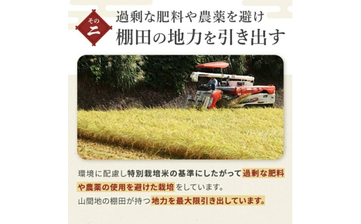 【3か月定期便 魚沼産コシヒカリ 錦鯉デザイン】令和8年産 新米 コシヒカリ 特別栽培米 棚田米 精米 合計15kg（5kg×毎月お届け全3回） 錦鯉発祥の地・小千谷 | 魚沼産こしひかり 魚沼コシヒ