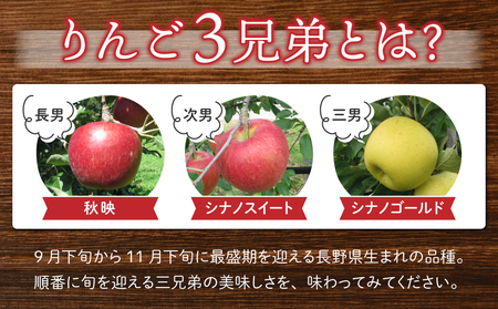 りんご「秋映」3kg 長野県オリジナル品種 ｜JA信州うえだ東部地区営農課 東御市産 ※9月下旬～10月上旬頃お届け予定