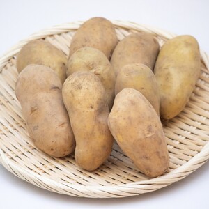 十勝野じゃがいもメークイン10kg 【2026年秋出荷】（先行受付）［按田農場］