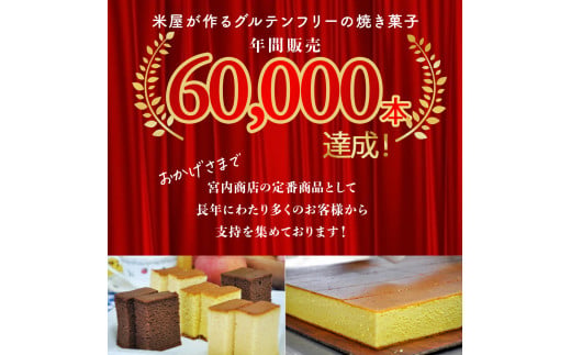 四万十の米粉カステラ【龍馬の太鼓判】プレーン＆四万十の緑茶半斤2本セット Bmu-A38