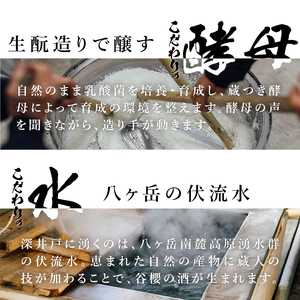 谷櫻酒造　谷櫻 梅酒 ２本セット 甘さ控えめ 500ml×2本 セット お酒 梅 八ヶ岳南麓湧水 母の日 父の日