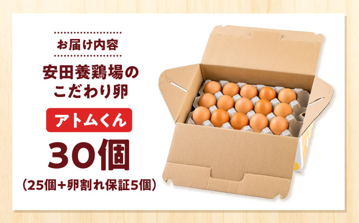 安田養鶏場の卵 アトムくん 30個入り 横須賀市 産地直送 たまご 黄身 濃厚 卵 玉子 タマゴ 鶏卵  【安田養鶏場】 [AKHN002]