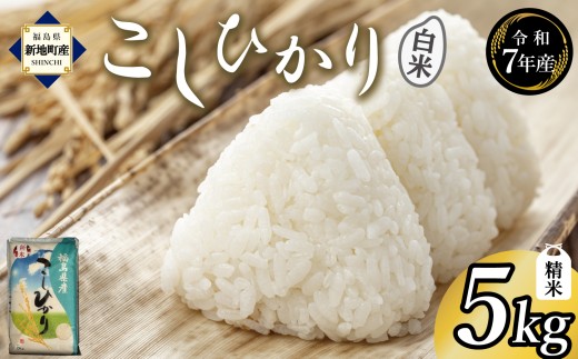 令和7年産 精米 こしひかり 5kg（1袋） ｜ コシヒカリ お米  2025年産  おこめ ライス 精米 R7 ご飯 ごはん 数量限定 げんてい 白米 ブランド米 令和7年度産 つや もちもち 新地町 福島県産 5kg 復興支援