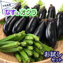 【ふるさと納税】 先行予約 夏野菜 詰め合わせ お試し セット なす おくら 野菜 茄子 ナス オクラ 産地直送 天敵栽培 【2025年7月以降順次発送】