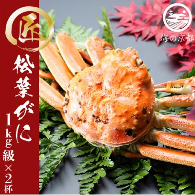 ふるさと納税 宮津市 茹で 松葉蟹 特大2杯(1,000g級)