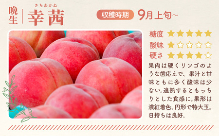 No.140 もも【幸茜・2026年産先行受付】特秀　3kg　桑折町産　JAふくしま未来　桃