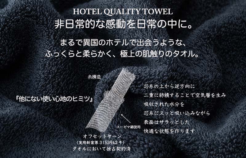 【TVで紹介！】Landwell Hotel バスタオル 2枚 ネイビー ギフト 贈り物【泉州タオル 国産 吸水 普段使い 無地 シンプル 日用品 家族 ファミリー】 G2652