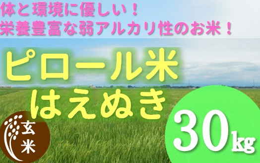 
【玄米】九代目又七のピロール農法米はえぬき30kg（令和6年産新米予約）
