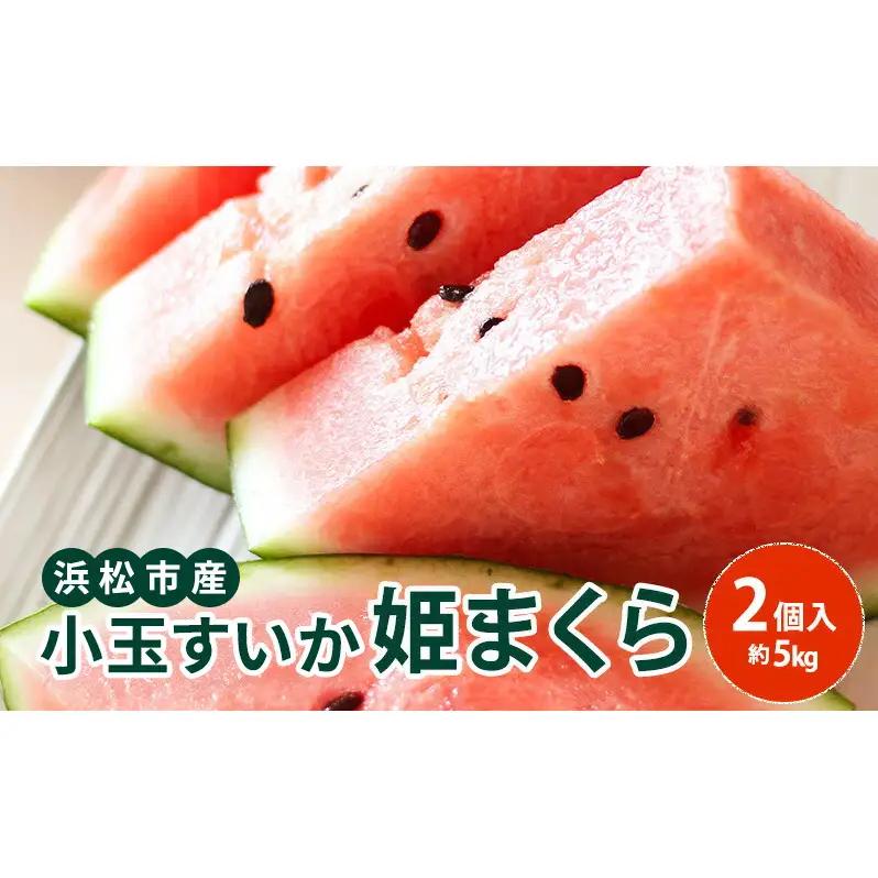 【浜松市産】小玉すいか 姫まくら 2個入 約5kg すいか スイカ 西瓜 果物 くだもの フルーツ プレゼント お中元 糖度 静岡 浜松市【配送不可：離島】 