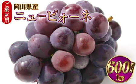 ご家庭用 岡山県産 ニューピオーネ 約600g（600g×1房） 【2026年8月下旬～9月下旬迄発送予定】 果物 くだもの フルーツ ぶどう ブドウ 葡萄