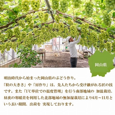 【2025年8月発送】岡山県産　シャインマスカット　晴王　500g×2房【配送不可地域：離島・北海道・沖縄県】【1366090】