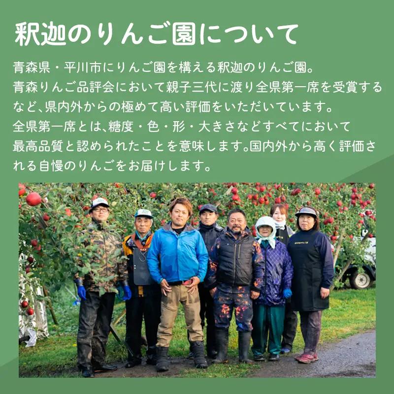 りんご 王林 約3kg りんご