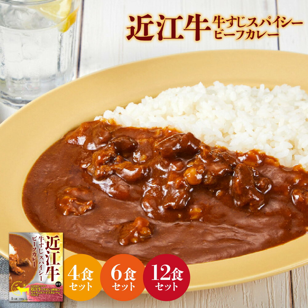 【ふるさと納税】【京阪百貨店厳選】近江牛 牛すじ スパイスカレー 160g ブランド牛 とろける 牛すじ肉 10種類以上 スパイス オリジナルブレンド レトルトカレー 湯煎 電子レンジ 大阪府 送料無料