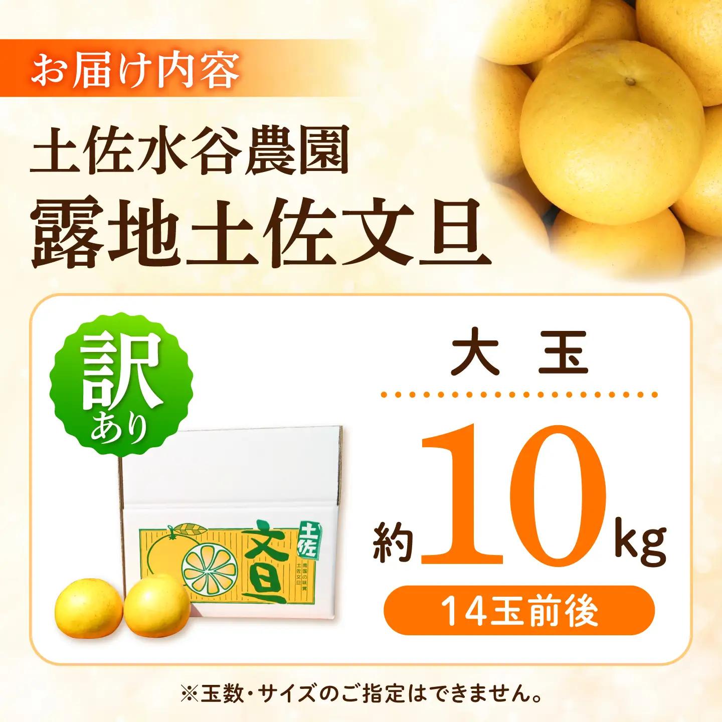 【先行予約】文旦 家庭用大玉 10キロ 10kg（3Lサイズ以上〜：14玉前後）〈2027年1月20日から発送〉皮むき器付き 高知県土佐市 【土佐水谷農園】 [BQBD009]