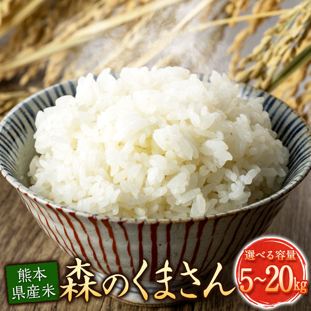 【ふるさと納税】＜選べる内容量＞熊本県産米 森のくまさん 5kg／計10kg（5kg×2袋）／計20kg（5kg×4袋） お米 米 おこめ コメ 精米 白米 令和8年度産 単一原料米 国産 九州 熊本県 送料無料 【2026年10月下旬から2027年1月下旬発送予定】