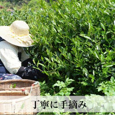 ふるさと納税 大任町 【2024年産】星野村の八女茶 かぶせ茶 80g×2本(大任町) |  | 01