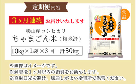 【定期便3ヶ月連続】勝山のお米コシヒカリ 精米 10kg（計 30kg） [I-010022]