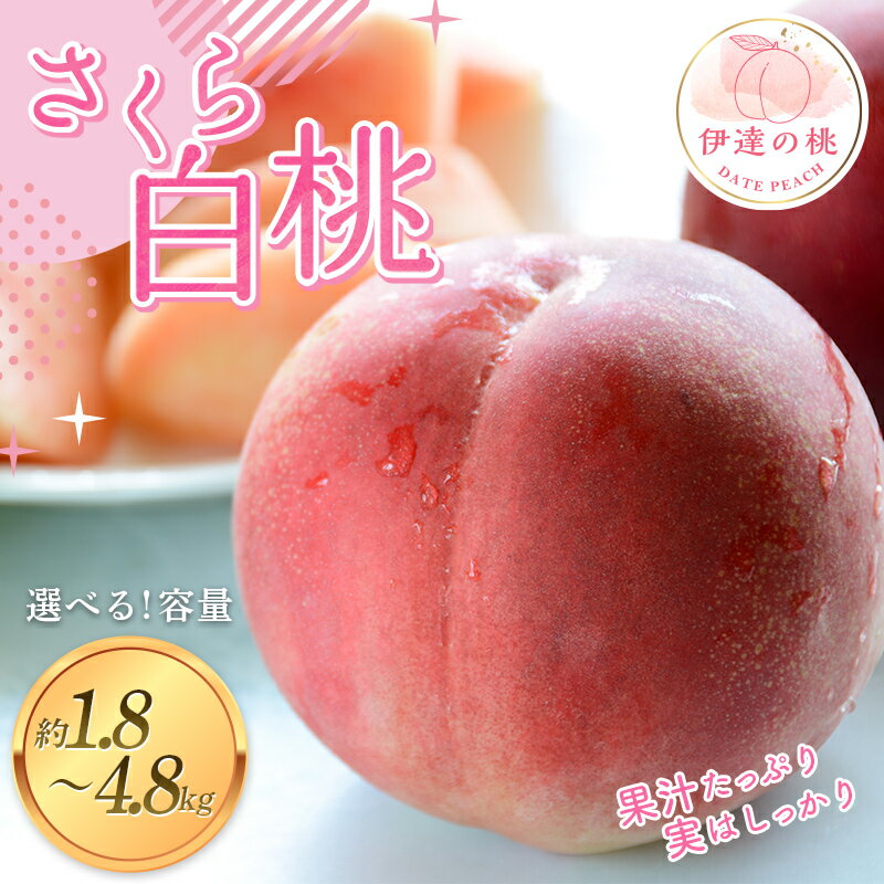 【ふるさと納税】＼選べる容量／【2026年出荷分先行予約】福島の桃 さくら白桃 約1.8kg 約2.8kg 約4.8kg あかい果樹園 伊達の桃 桃 フルーツ 果物 もも モモ momo F20C-911var